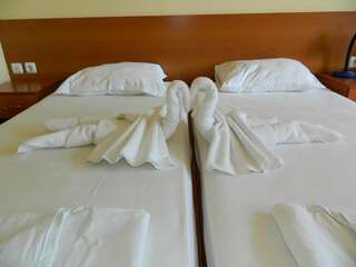 Отель Hotel Privileg Солнечный Берег Двухместный номер с 2 отдельными кроватями-1