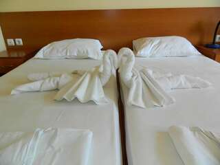 Отель Hotel Privileg Солнечный Берег Двухместный номер с 2 отдельными кроватями-5